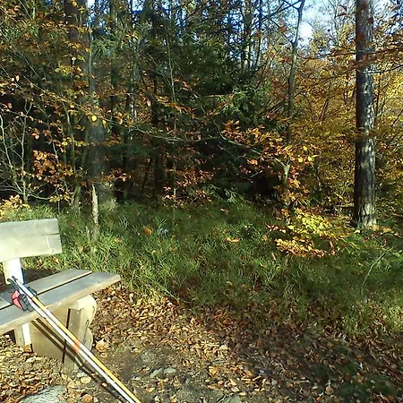 Gasthof Meierhofer